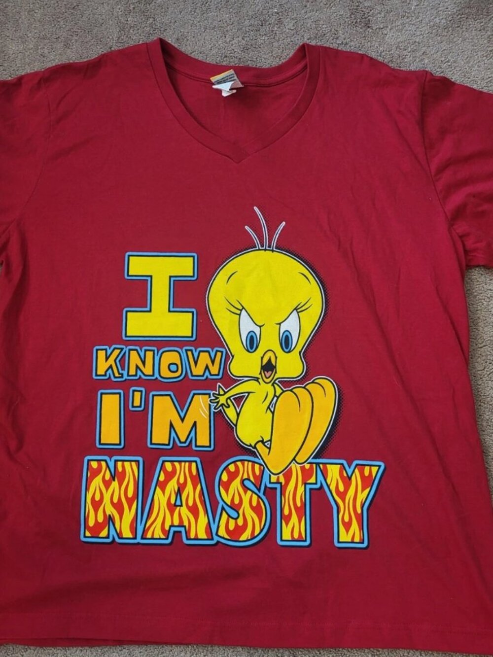Vintage Women's Looney Tunes Tweety Shirt Size 22/24W "I Know I'm Nasty" LQQK!